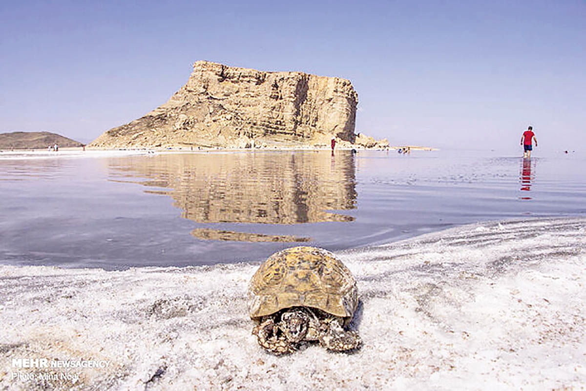 احیای دریاچه ارومیه نیازمند همافزایی ملی و نگاه ویژه است