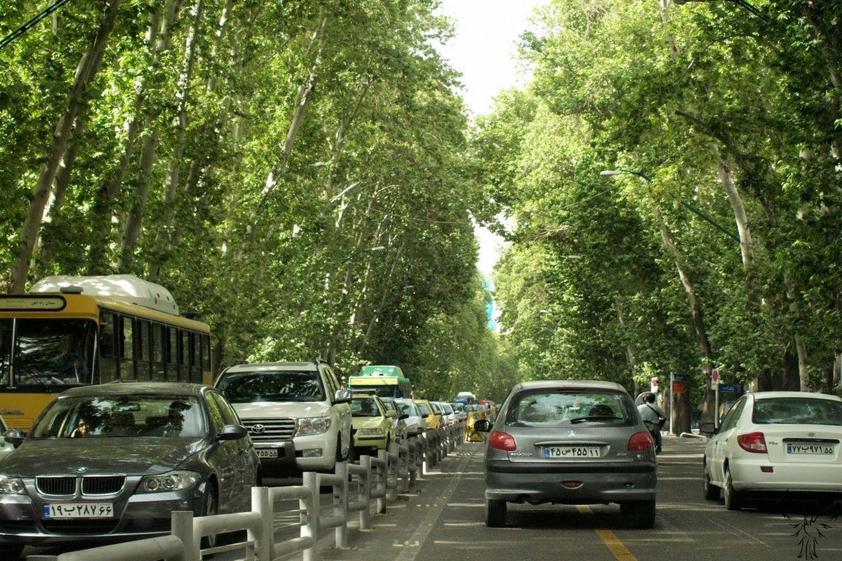 جریمه میلیاردی برای خشکاندن درختان خیابان ولیعصر