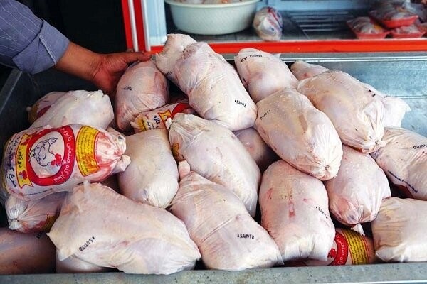 فراوانی مرغ در بازار به نفع مردم است
