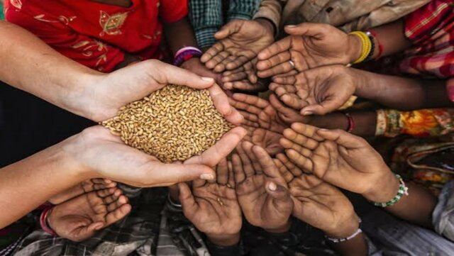 دانه‌های جادویی «بیل گیتس» برای پایان دادن به گرسنگی در جهان