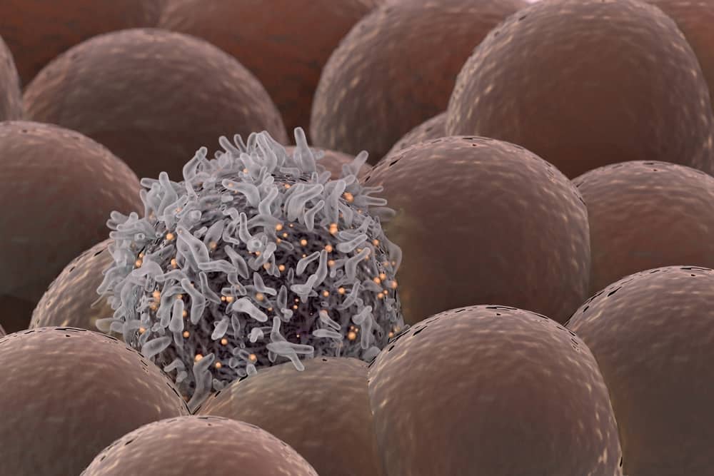 سلول های زامبی موثر در افزایش طول عمر و سلامتی