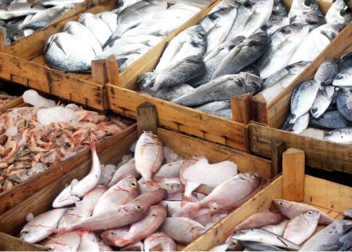 قیمت انواع ماهی در ۳۰ آبان اعلام شد