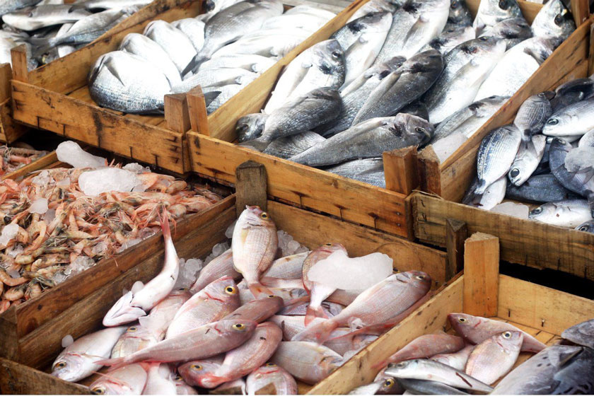 قیمت انواع ماهی در ۳۰ آبان اعلام شد
