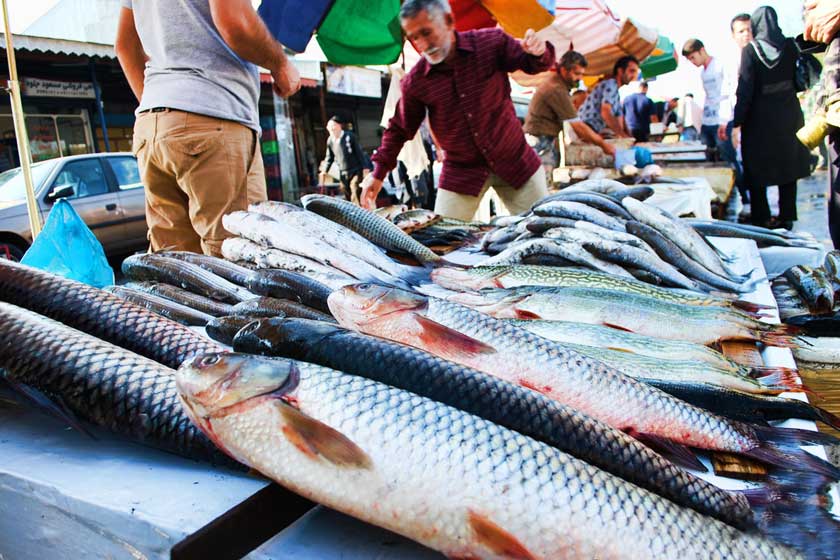 قیمت انواع ماهی در 22 آبان