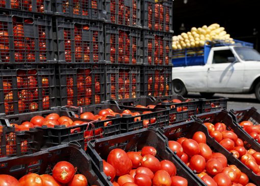 علت افزایش قیمت پیاز و گوجه فرنگی در بازار