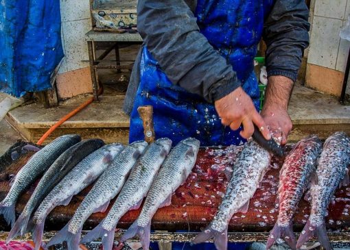 قیمت انواع ماهی در سه شنبه ۱۰ آبان