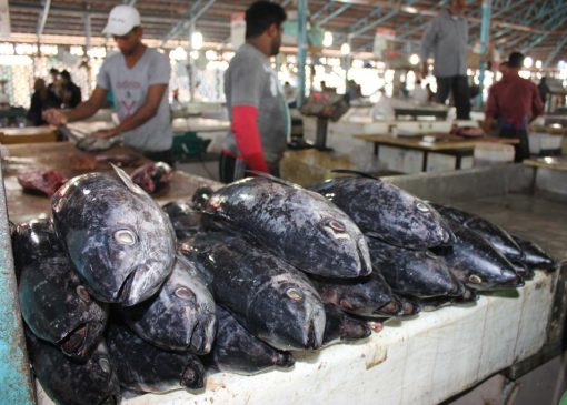 قیمت انواع ماهی در ۱۵ آبان اعلام شد