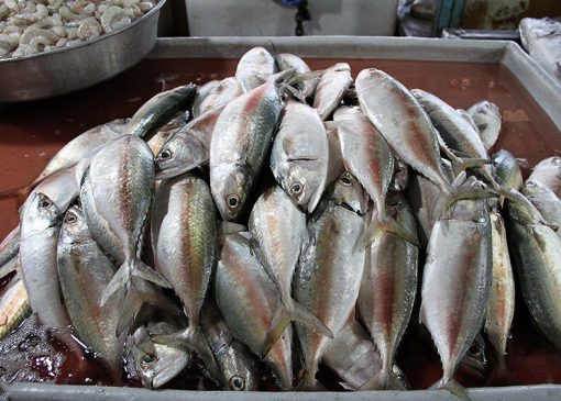 قیمت انواع ماهی در ۶ آذر اعلام شد