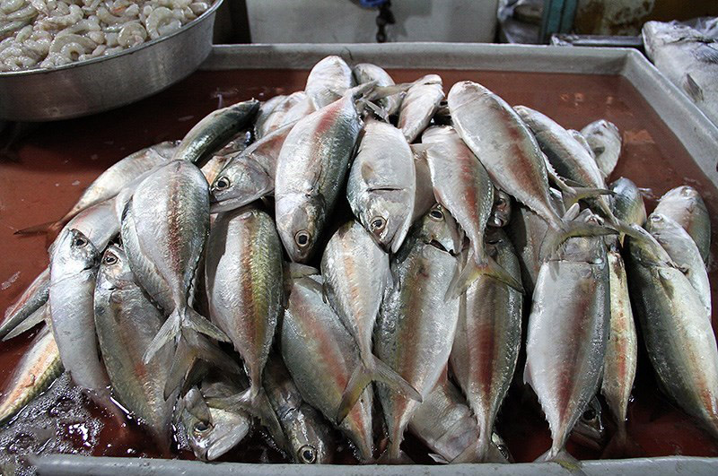 قیمت انواع ماهی در ۶ آذر اعلام شد