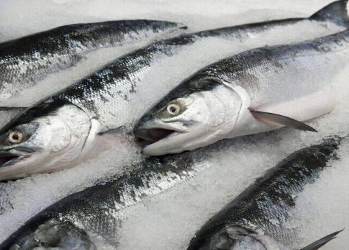 قیمت انواع ماهی در چهارشبنه ۹ آذر