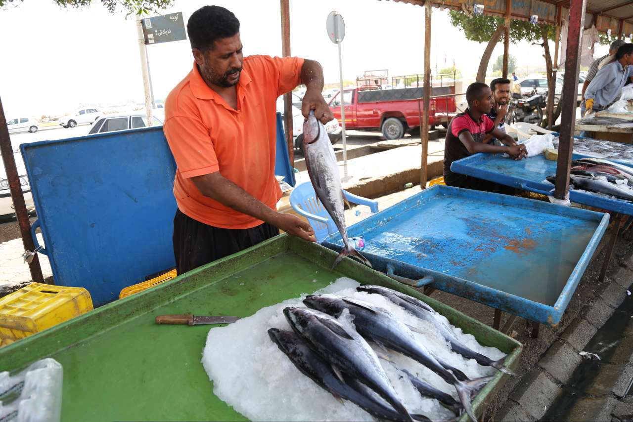 قیمت انواع ماهی در 21 آبان