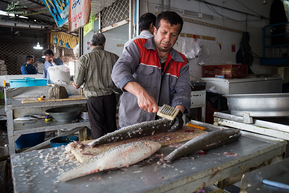 قیمت انواع ماهی در 25 آبان اعلام شد