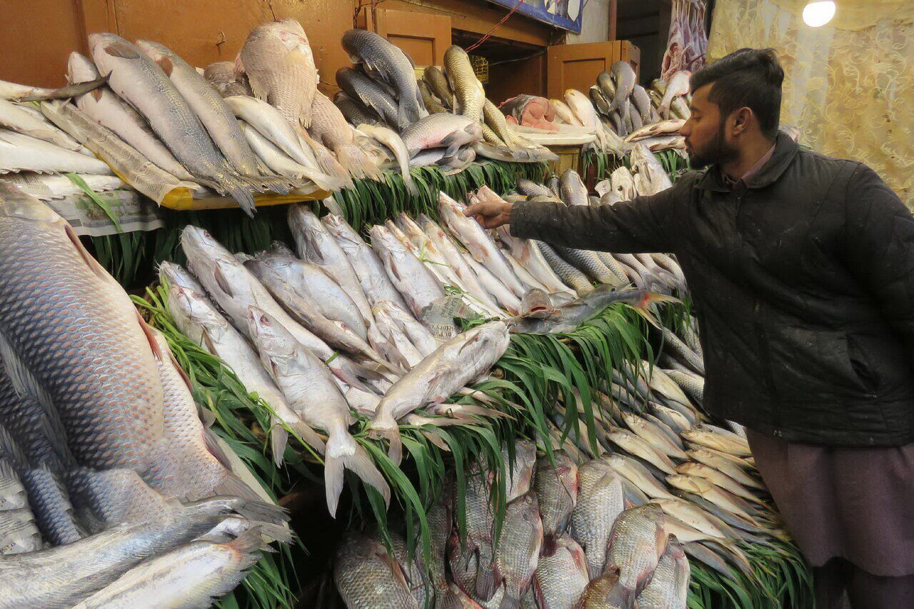 قیمت انواع ماهی در ۲۸ آبان ۱۴۰۱