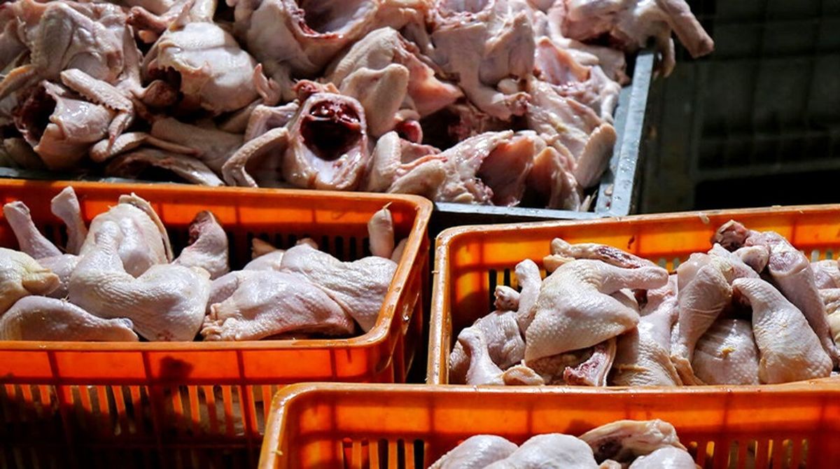 قیمت انواع مرغ در یکشنبه ۶ آذر
