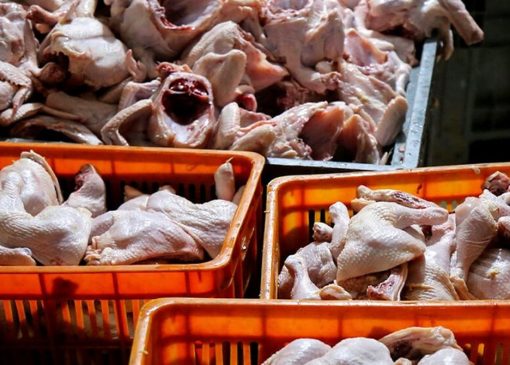 قیمت انواع مرغ در ۱۷ آبان ۱۴۰۱