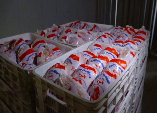 قیمت انواع مرغ در چهارشنبه ۲ آذر