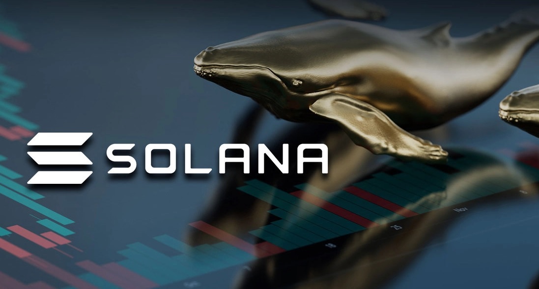 نهنگ سولانا