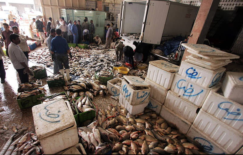 قیمت انواع ماهی در ۱۵ آذر اعلام شد