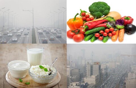 موادغذایی برای هوای آلوده